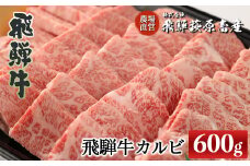 飛騨牛カルビ焼肉  600g　 国産 牛肉 ブランド牛【冷凍】焼き肉 おすすめ ギフト 贈答 高級 カルビ 焼肉用 牛 牛肉 飛騨萩原畜産 下呂市 飛騨牛
