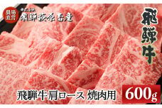 飛騨牛肩ロース  600g（焼肉用）国産 牛肉 ブランド牛 焼き肉用 ギフト 贈答 贈り物 高級【冷凍】下呂市