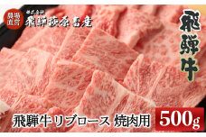 飛騨牛リブロース  500g（焼肉用）国産 牛肉 ブランド牛 おすすめ 高級 やきにく 焼き肉 ギフト 贈答【冷凍】