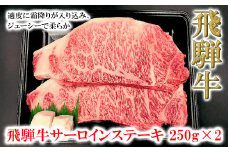 菊の井 飛騨牛サーロインステーキ  250g×2　牛肉 ブランド牛 国産 ギフト 贈答【冷凍】サーロイン 飛騨牛 下呂市 牛 牛肉 