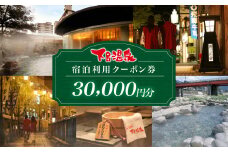 下呂温泉宿泊利用クーポン券（30,000円分）旅館 ホテル 宿泊券 旅行 温泉 3万円分 30000円 宿泊 （有効期限 発行日より3年間）下呂市 下呂温泉 岐阜県 宿泊 東海 中部