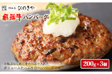 【お一人様にもおすすめ！】飛騨牛ハンバーグ（200g×3個）冷凍 個包装 長期保存に便利 下呂温泉 ハンバーグ 飛騨 