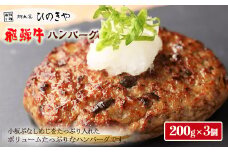 【お一人様にもおすすめ！】飛騨牛ハンバーグ（200g×3個）冷凍 個包装 長期保存に便利 下呂温泉 ハンバーグ 飛騨 
