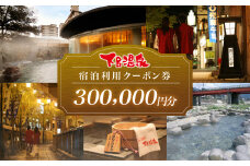 下呂温泉宿泊利用クーポン券（300,000円分）旅館 ホテル 宿泊券 旅行 温泉  宿泊券 30万円分 宿泊 （有効期限 発行日より3年間）下呂市下呂温泉 岐阜県 宿泊 東海 中部