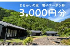 【電子クーポン券】まるかりの里キャンプ場 宿泊利用（3,000円分）下呂市 アウトドア バーベキュー 割引券 宿泊 クーポン まるかり 宿泊券 利用券 電子クーポン 電子