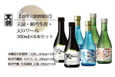 【期間限定 お中元】（2025年7月頃から順次発送）天涼・ 純吟生貯・天ロワール（各300ml×2本）計 6本セット 天領酒造 夏限定 ギフト 贈答 純米吟醸 本醸造生貯蔵酒 酒 御中元 酒 お酒 冷酒 飲み比べ