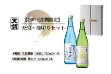 【期間限定 お中元】（2025年7月頃から順次発送）天涼・飛切りセット 特別純米酒「飛切り」・本醸造生貯蔵酒「天涼」（各 720ml）天領酒造 夏限定 ギフト 贈答 酒 贈り物 日本酒 お酒
