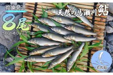 予約受付【期間限定】（発送時期：2025年7月中旬～9月頃まで）清流が育む天然の馬瀬川鮎　８尾（１尾あたり重さ50g～80g以上 (混)  大・中・小セット）  冷凍 鮎 アユ あゆ 