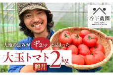 【期間限定】≪有機JAS認証≫地元下呂市の人気者！大地の恵みがぎゅーっと詰まった果肉が厚い 大玉トマト 約 2kg（サイズ混合）《飛騨下呂産》麗月 とまと 産地直送 2キロ 野菜 トマト