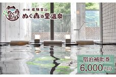 下呂温泉【道の駅 飛騨金山ぬく森の里温泉】宿泊補助券（6,000円分） 宿泊券 温泉 旅行 宿泊