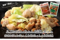 ミズホのケイちゃんお試しセット チキンディンティ（みそ×2 しょうゆ×2） 計4個 冷凍配送 けいちゃん 鶏ちゃん 鶏肉 味付け 味付き 焼くだけ 簡単調理