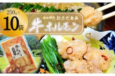 牛ホルモン 網焼き用（250g×10袋）飛騨 牛肉 ホルモン BBQ 味付け 贈答 ギフト  もつ鍋 味付き 焼くだけ おすすめ 牛ホル 牛ホルモン 【飛騨 味職人】