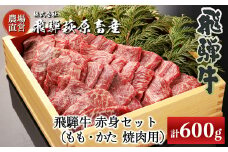 飛騨牛赤身焼肉セット 600g（もも焼肉 300g・かた焼肉 300g）焼肉 焼き肉用 飛騨牛 赤身 最高級 国産 牛肉 ブランド牛  和牛 焼き肉 ギフト 贈答 【冷凍】