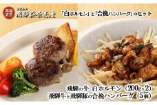 飛騨の牛白ホルモン（200g×2袋）合挽ハンバーグ（5個）セット 国産 牛肉 ブランド牛  和牛  飛騨豚  味付き 味付け ホルモン 牛 おすすめ 贈答【冷凍配送】