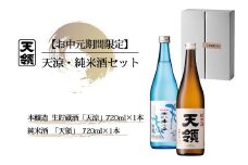 【期間限定 お中元】（2025年7月頃から順次発送）天涼・純米酒セット  本醸造 生貯蔵酒 天涼・純米酒 天領（各 720ml）天領酒造 夏限定 ギフト 贈答 贈り物 御中元 酒 お酒 日本酒