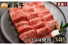 A5飛騨牛もも赤身焼肉 340g【冷凍】冷凍配送 もも 飛騨牛 下呂温泉 おすすめ 牛肉 肉 和牛 赤身 人気 ブランド牛 肉ギフト 国産 贈答品 焼き肉用 ギフト 和牛 15000円