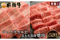 A5 飛騨牛 ミックスカルビ＆ A5飛騨牛もも赤身焼肉 520g（260g×2)【冷凍】 冷凍配送 もも 飛騨牛 下呂温泉 おすすめ 牛肉 肉 和牛 赤身 人気 ブランド牛 肉ギフト 国産 贈答品 焼き肉用 ギフト 和牛 21000円