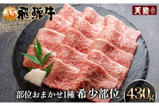 A5飛騨牛希少部位 おまかせ1種 430g いちぼ みすじ ともさんかく【冷凍】冷凍配送 もも 飛騨牛 下呂温泉 おすすめ 牛肉 肉 和牛 赤身 人気 ブランド牛 肉ギフト 国産 贈答品 焼き肉用 ギフト 和牛 25000円