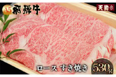  A5飛騨牛 ロースすき焼き 530g【冷凍】冷凍配送  肩ロース 飛騨牛 下呂温泉 おすすめ 牛肉 肉 和牛 赤身 人気 ブランド牛 肉ギフト 国産 贈答品 すき焼き用 すきやき ギフト 和牛 30000円