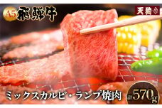 A5飛騨牛 ミックスカルビ・ランプ焼肉 570g（285g×2）【冷凍】冷凍配送 らんぷ 飛騨牛 下呂温泉 おすすめ 牛肉 肉 和牛 赤身 人気 ブランド牛 肉ギフト 国産 贈答品 焼き肉用 ギフト 和牛 25000円