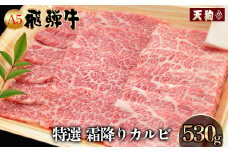 A5飛騨牛 特選霜降りカルビ 530g【冷凍】冷凍配送 焼肉 飛騨牛 下呂温泉 おすすめ 牛肉 肉 和牛 赤身 人気 ブランド牛 肉ギフト 国産 贈答品 焼き肉用 ギフト 和牛 30000円