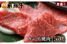 A5飛騨牛 ランプ焼肉 570g【冷凍】冷凍配送 らんぷ 飛騨牛 下呂温泉 おすすめ 牛肉 肉 和牛 赤身 人気 ブランド牛 肉ギフト 国産 贈答品 焼き肉用 ギフト 和牛 30000円
