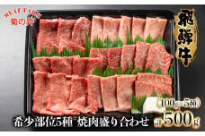 【数量限定】飛騨牛 希少部位5種 焼肉盛り合わせ 各100g  計500g (ラムシン、ボンショー、カイノミ、トモサンカク、シキンボウ) 牛肉 ブランド牛 国産 贈答 ギフト【冷凍】牛肉 肉 和牛 赤身 人気 牛肉セット 肉ギフト 国産 贈答品 焼き肉 ギフト