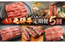 【定期便5回】A5 飛騨牛 天狗 牛肉 (ステーキ / すき焼き / 焼肉 / サーロイン /イチボ ランプ /カルビ ) お楽しみ 肉 定期便 下呂温泉 おすすめ 赤身 霜降り 希少部位 もも すきやき 食べ比べ 高級牛肉 焼き肉 100000円 10万円