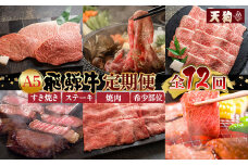 【定期便 12回】 A5 飛騨牛 天狗 牛肉 (ステーキ / 焼き肉 / すき焼き /希少部位 赤身 / 霜降り) 1年間 お楽しみ サーロイン カルビ イチボ ランプ もも 肩ロース肉 希少部位 12カ月 肉ギフト 国産 焼肉 すきやき しゃぶしゃぶ 300000円 30万円