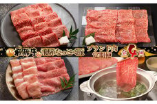 【定期便 4回】 飛騨牛 ＆ なっとく豚 定期便 4回 牛肉 / 豚肉 食べ比べ (焼肉 / すき焼き / しゃぶしゃぶ / 豚しゃぶ) 下呂温泉 お楽しみ おすすめ ブランド牛 赤身 霜降りミックス 牛肉セット 国産 焼き肉 ギフト 定期便 50,000円 5万円 岐阜県 下呂市