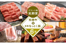 【定期便6回】 飛騨牛 ＆ なっとく豚 ブランド肉 定期便 6回 牛肉 豚肉 (ステーキ / すき焼き / しゃぶしゃぶ / 焼き肉) カルビ イチボ お楽しみ 下呂温泉 おすすめ ブランド牛 赤身 霜降り 肉ギフト 国産 焼肉 豚しゃぶ ギフト 100000円 岐阜県 下呂市 天狗 菊の井ミート