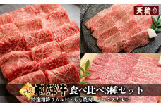 飛騨牛A5 食べ比べ3種セット（特選霜降りカルビ  173g・もも焼肉 139g・ミックスカルビ176g）【冷凍 真空】牛肉 霜降り しもふり モモ 赤身 カルビ 焼肉  牛 天狗