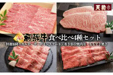 飛騨牛 A5 食べ比べ4種セット（特選霜降りカルビ  173g・サーロインステーキ 228g・希少部位焼肉用 162g・ももすき焼き 216g）【冷凍 真空】牛肉 霜降り しもふり ステーキ もも すき焼き焼肉  牛 天狗