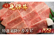 飛騨牛 A5 特選霜降りカルビ  173g（約2人前）【冷凍 真空】牛肉 霜降り しもふり 焼肉  牛 天狗 ブランド牛 焼き肉 下呂市 飛騨