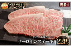 飛騨牛 A5 サーロインステーキ  228g【冷凍 真空】牛肉 ステーキ 霜降り  牛 天狗 ブランド牛