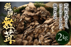 訳あり（簡易包装）飛騨舞茸 2kg マイタケ まいたけ キノコ きのこ 舞茸 TVで紹介された品 テレビで紹介 テレビで放送 訳アリ 2キロ