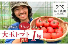 【期間限定】≪有機JAS認証≫地元下呂市の人気者！大地の恵みがぎゅーっと詰まった果肉が厚い 大玉トマト 約 1kg（6～8玉）（サイズ混合）《飛騨下呂産》麗月 とまと 産地直送 1キロ トマト 野菜 限定 大玉 レイゲツ