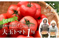 ≪有機JAS認証≫訳アリ 約 1kg 大地の恵みがぎゅーっと詰まった果肉が厚い大玉トマト 麗月 レイゲツ れいげつ とまと 訳あり 1キロ 令和7年