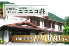 湯屋温泉【ニコニコ荘】宿泊補助券（12,000円分）旅館 温泉 旅行 下呂市 宿泊券 小坂