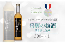 飛騨の梅酒（日本酒仕込み）500ml×1 梅酒 うめ酒 ウメ酒 お酒 酒 天領酒造 天領 下呂市 飛騨 純米酒