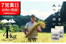 即納【令和6年産米】すがたらいす 山仙 (いのちの壱)  2kg×2袋（4kg）すがたらいす 4キロ 下呂市金山産 2024年産 お米 精米 米 いのちのいち やません
