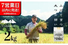 即納【令和6年産米】すがたらいす 山仙 (いのちの壱) 2kg×1袋 すがたらいす 下呂市金山産 2キロ  米 2024年産 お米 精米 米 いのちのいち やません
