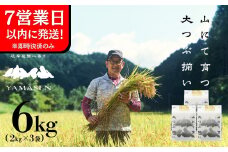 即納【令和6年産米】すがたらいす 山仙 (いのちの壱)  2kg×3袋（6kg）すがたらいす 6キロ 下呂市金山産 2024年産 お米 精米 米 いのちのいち やません