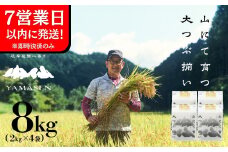 即納【令和6年産米】すがたらいす 山仙 (いのちの壱)  2kg×4袋（8kg）すがたらいす 8キロ 下呂市金山産 2024年産 お米 精米 米 いのちのいち やません