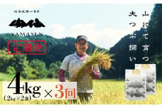 令和6年産米【定期便】山仙（いのちの壱）【2kg×2袋（4kg）×3回】 すがたらいす 下呂市金山産 2024年産 毎月 4キロ×3カ月 お米 精米 下呂温泉 下呂市 米 ブランド米