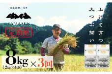 （受付終了）令和6年産米【定期便】山仙（いのちの壱）【2kg×4袋（8kg）×3回】 すがたらいす 下呂市金山産 2024年産 毎月 8キロ×3カ月 お米 精米 下呂温泉 下呂市 米 ブランド米