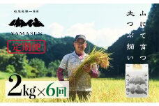 令和6年産米【定期便】山仙（いのちの壱）【2kg×6回】 すがたらいす 下呂市金山産 2024年産 毎月 2キロ×6カ月 お米 精米 下呂温泉 下呂市 米 ブランド米