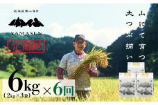 令和6年産米【定期便】山仙（いのちの壱）【2kg×3袋（6kg）×6回】 すがたらいす 下呂市金山産 2024年産 毎月 6キロ×6カ月 お米 精米 下呂温泉 下呂市 米　ブランド米