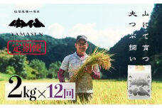 (受付終了）令和6年産米【定期便】山仙（いのちの壱）【2kg×12回】 すがたらいす 下呂市金山産 2024年産 毎月 2キロ×12カ月 お米 精米 下呂温泉 下呂市 米 ブランド米
