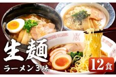 【訳あり】簡易包装 飛騨高山らーめん３味セット 12食（醤油 2食×2袋、味噌 2食×2袋、塩 2食×2袋）【丸中製麺所】高山ラーメン 自家製麺 飛騨 下呂市 ラーメン しょうゆ みそ セット 訳アリ わけあり 自宅用